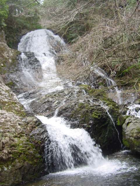 Dsc01147
