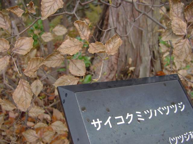 Dsc01148
