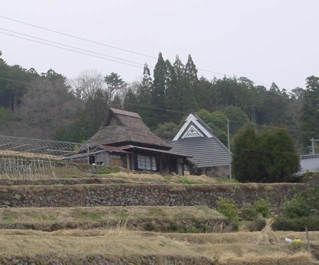 Dsc01149