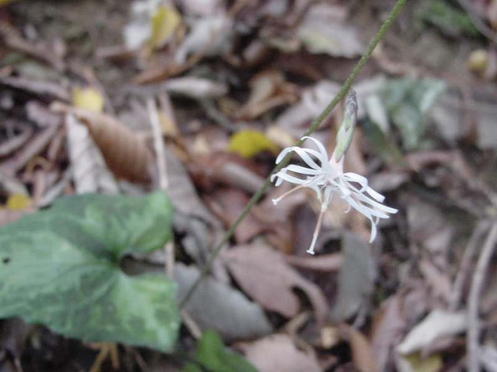 Dsc01150_1
