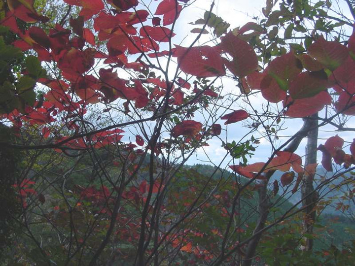 Dsc01154_2