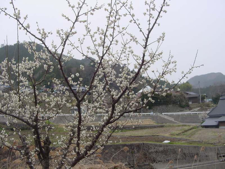 Dsc01163_2