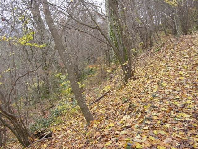 Dsc01190