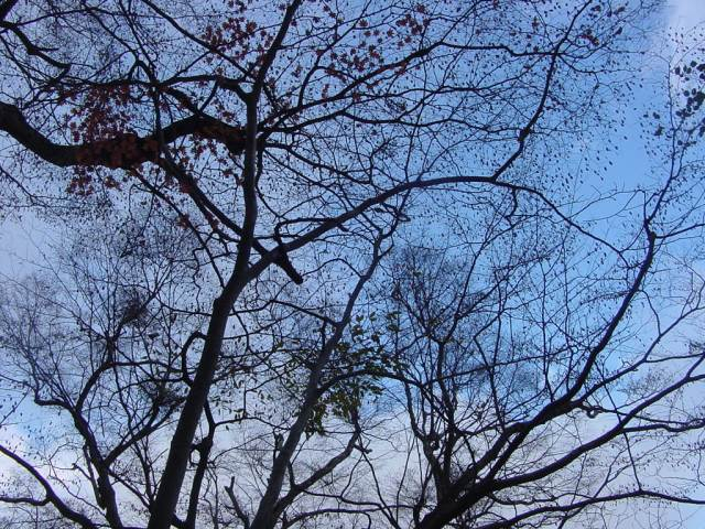 Dsc01195