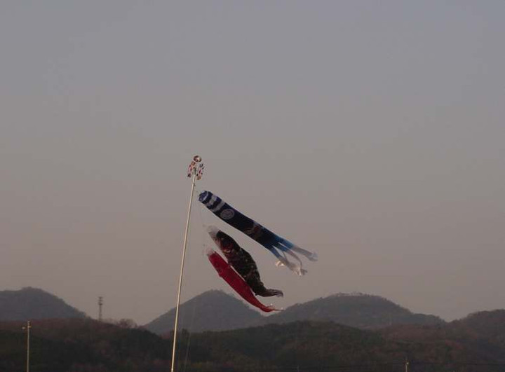 Dsc01201_1