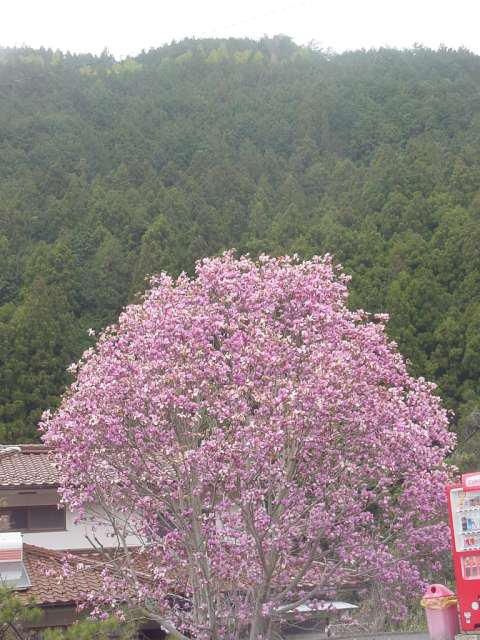 Dsc01202_2