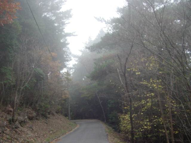 Dsc01224