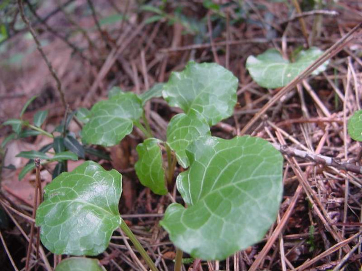 Dsc01230