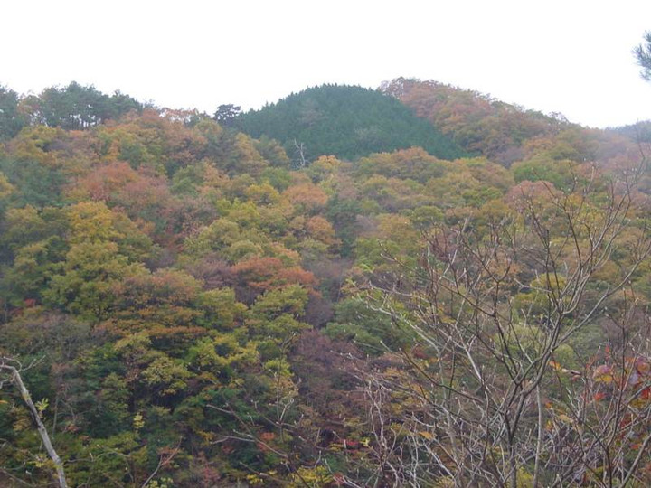 Dsc01237_1