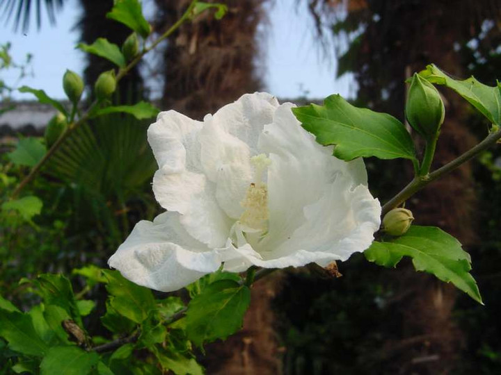 Dsc01253