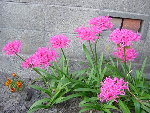 Dsc01263