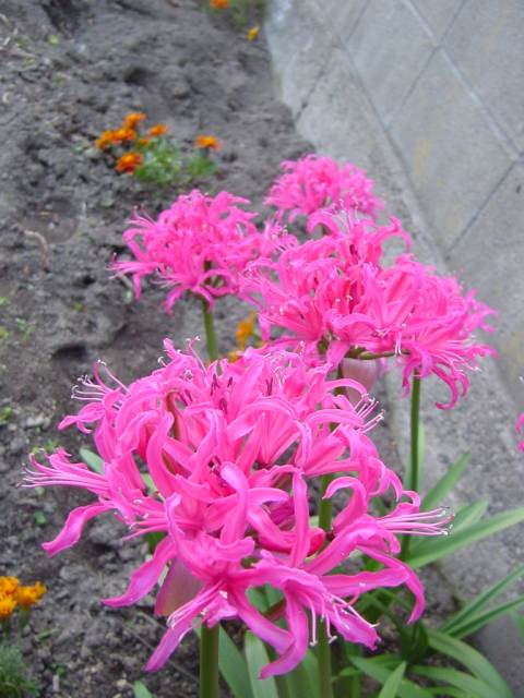 Dsc01264