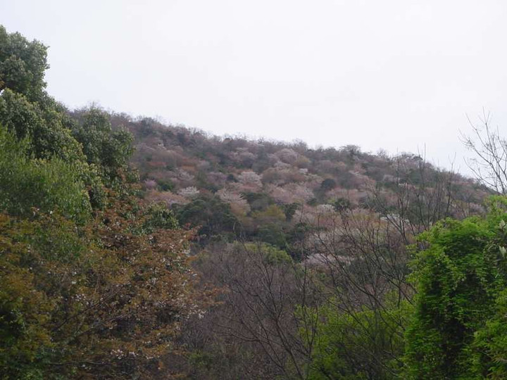 Dsc01276_2
