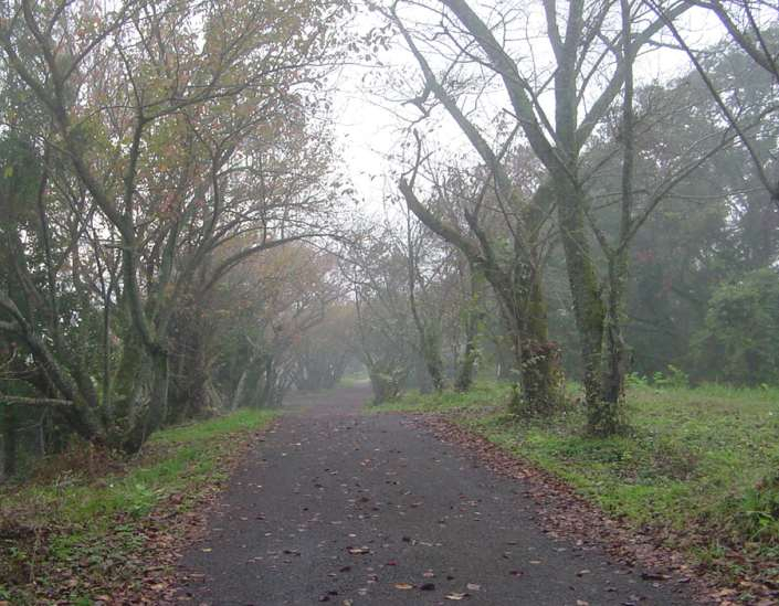 Dsc01280