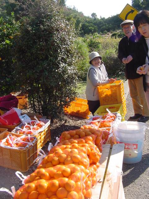 Dsc01297_1