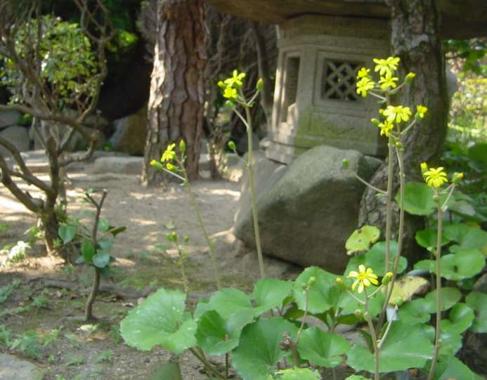 Dsc01301_2