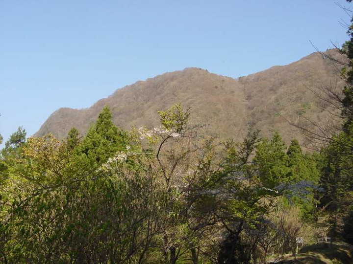 Dsc01323