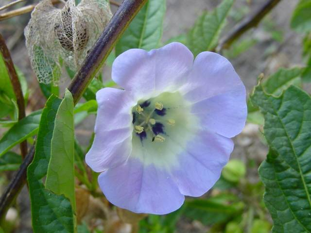 Dsc01346_1