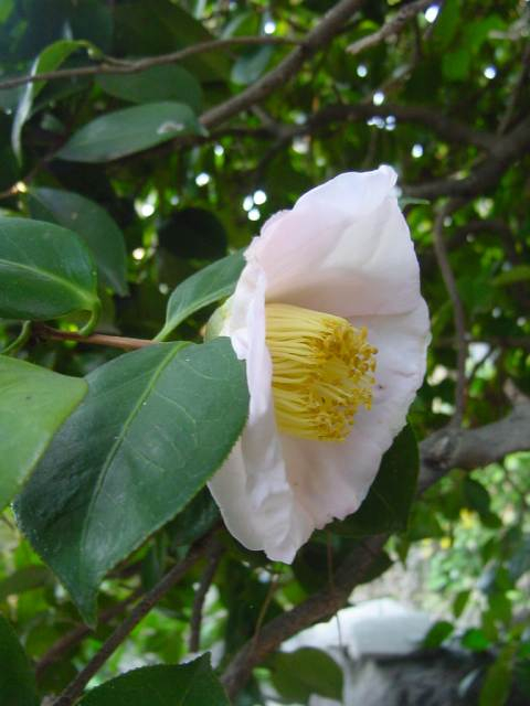 Dsc01358