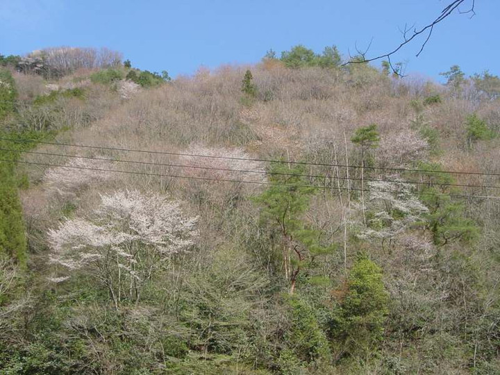 Dsc01359
