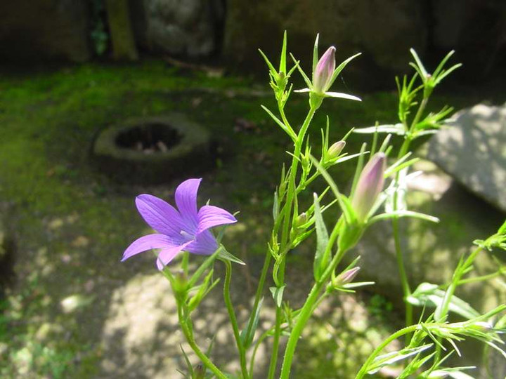 Dsc01360