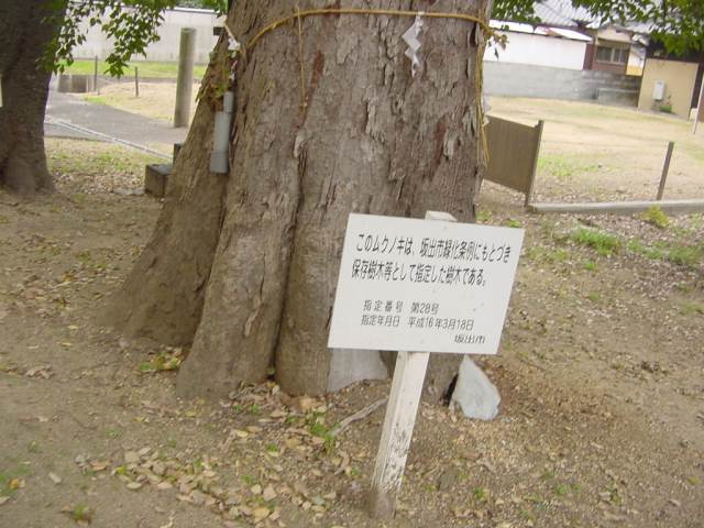 Dsc01393_2