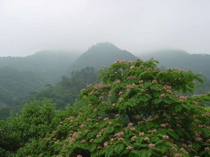 Dsc01400