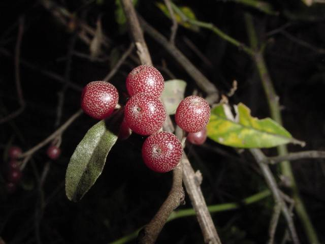 Dsc01415