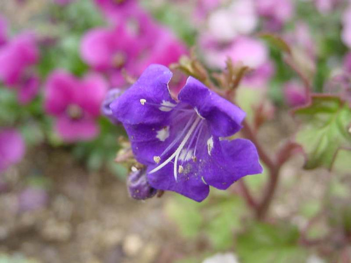 Dsc01421