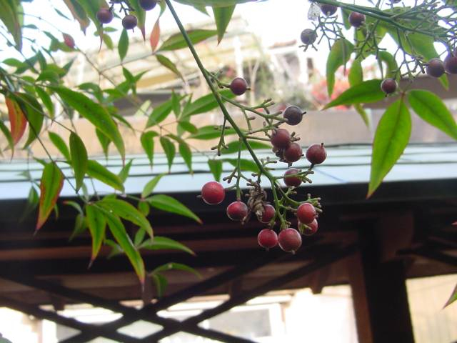 Dsc01422