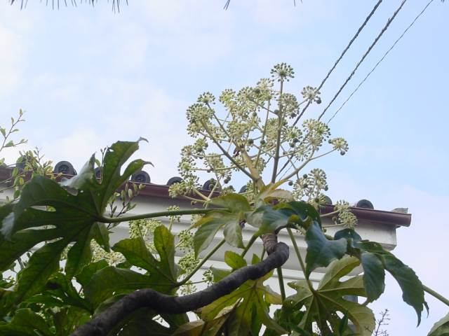 Dsc01423