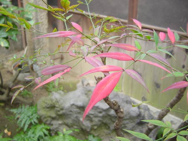 Dsc01427