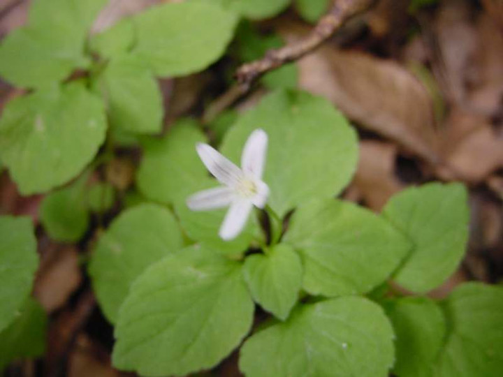 Dsc01466_3