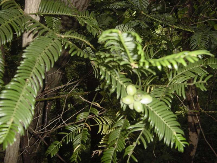 Dsc01473_3