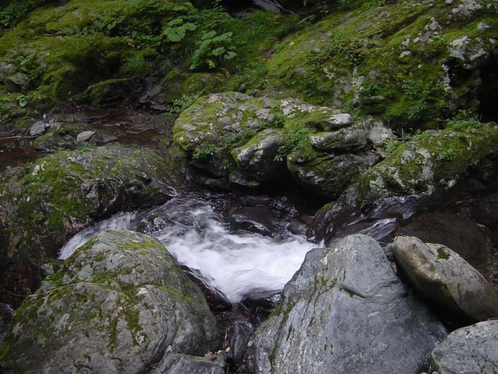 Dsc01491_1