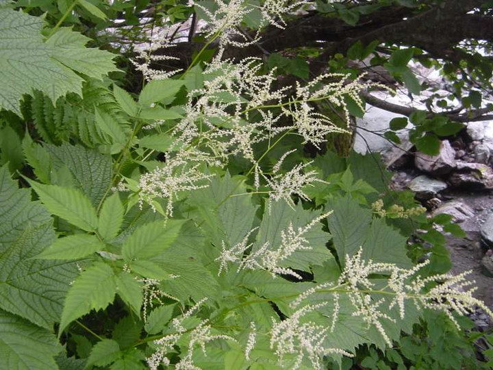 Dsc01504