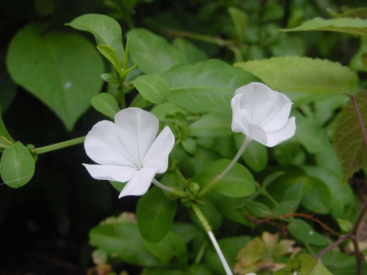Dsc01505