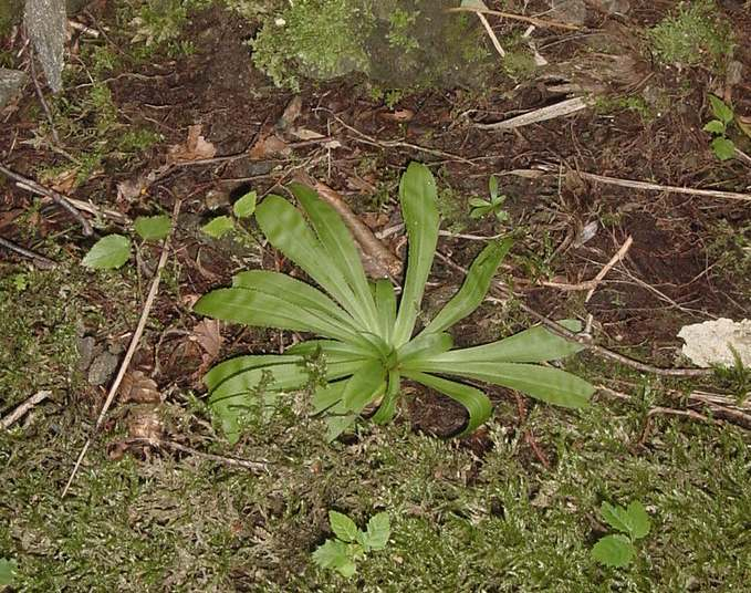 Dsc01507_1