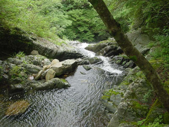 Dsc01509