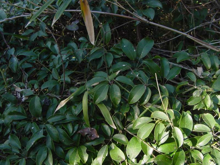 Dsc01528