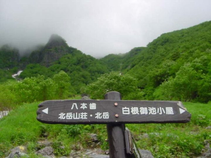 Dsc01530
