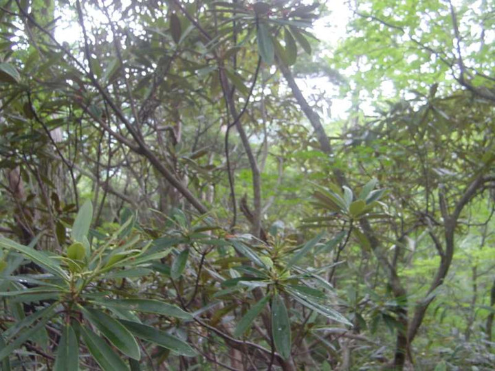 Dsc01530_1