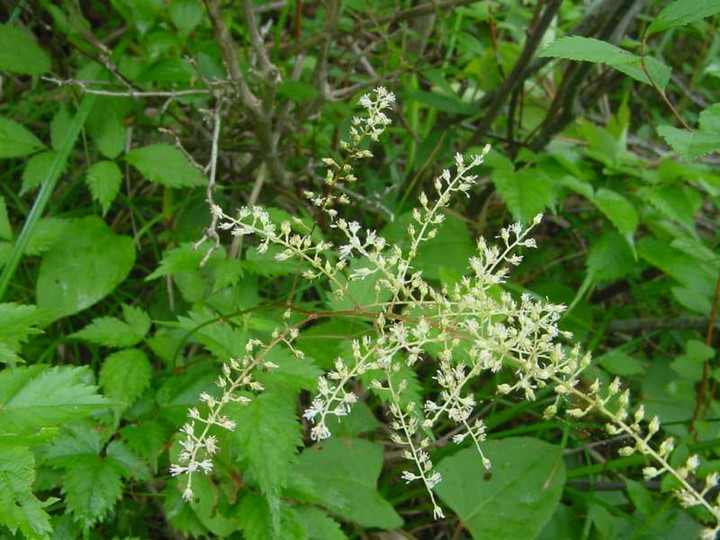 Dsc01536_2