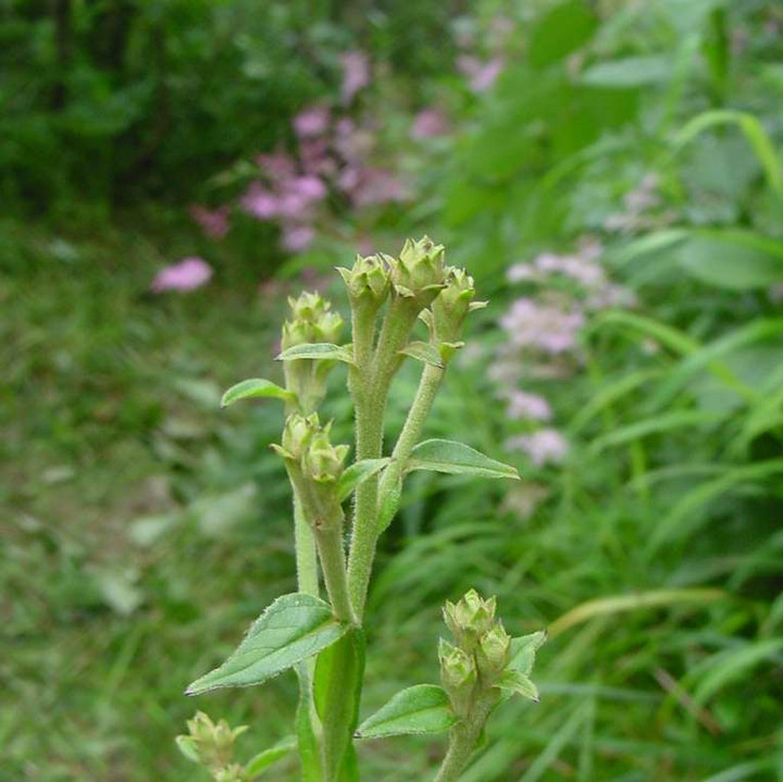 Dsc01538_2