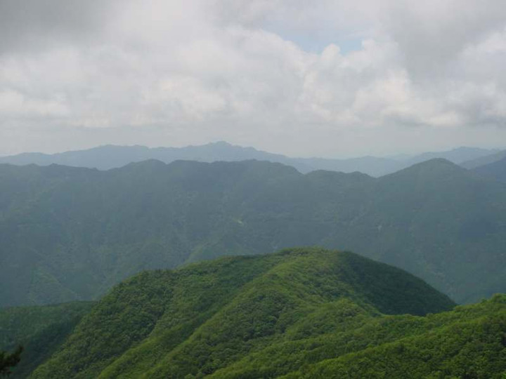 Dsc01542_1