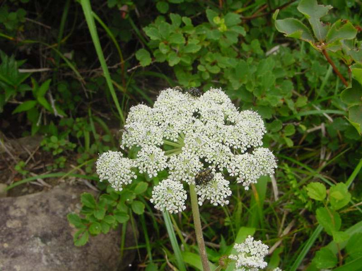 Dsc01556_2