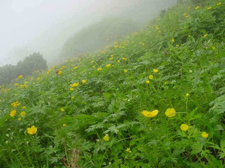Dsc01580