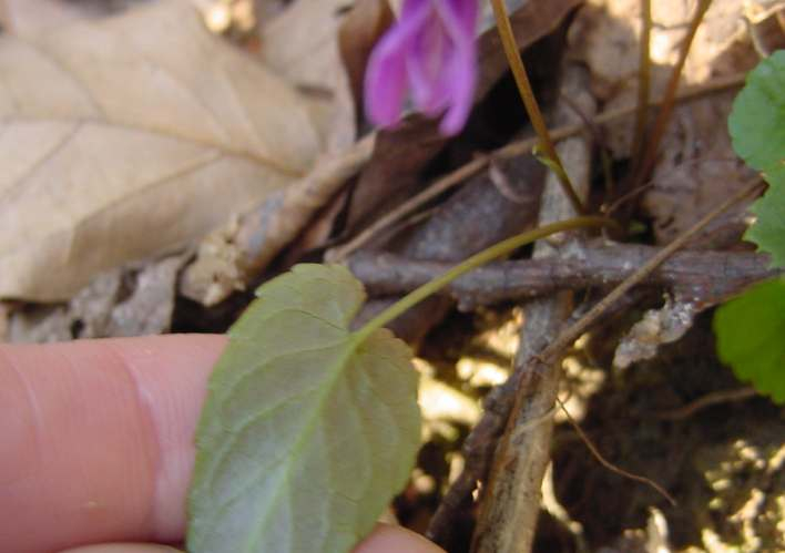 Dsc01591_1