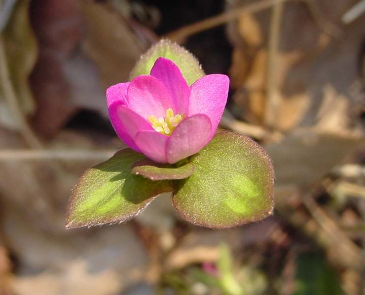 Dsc01614