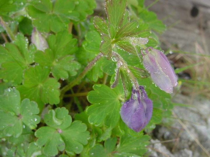 Dsc01620_1